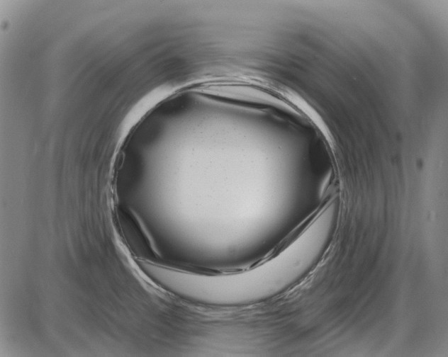 X0000085021485200703261208