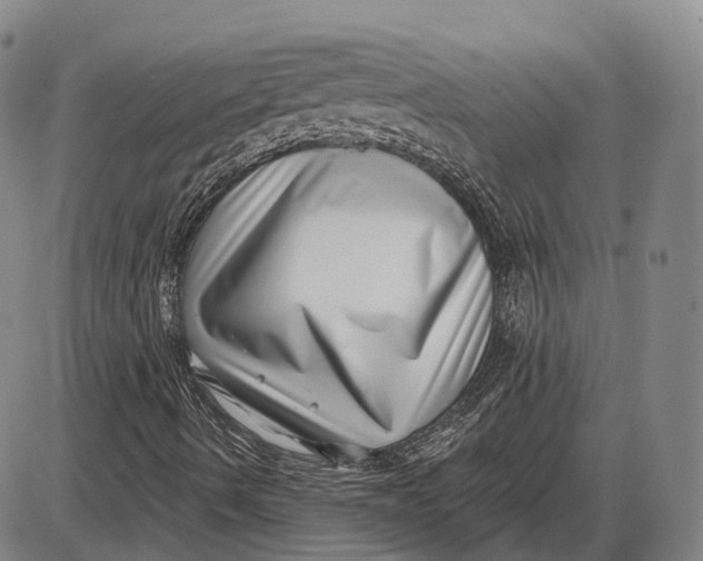 X0000085021490200703261207