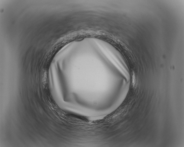 X0000085021492200703261207