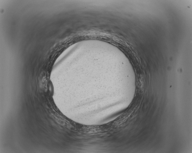 X0000085021493200703261207