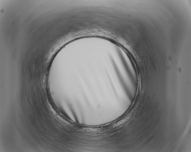 X0000085021500200703261207