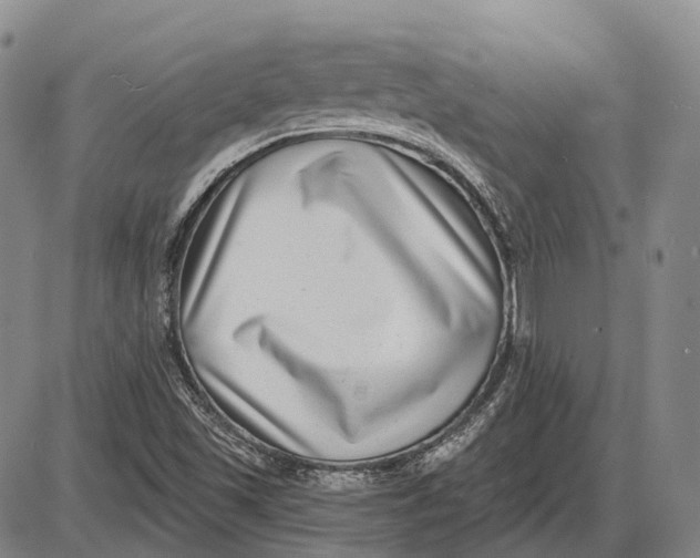 X0000085021501200703261207