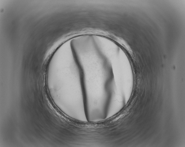 X0000085021504200703261207