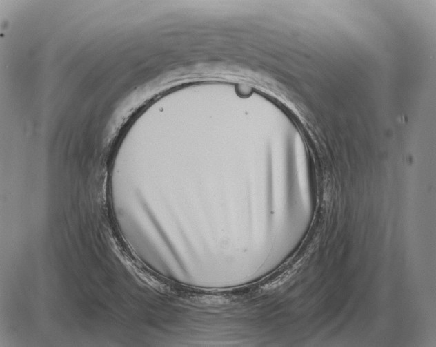 X0000085021507200703261207