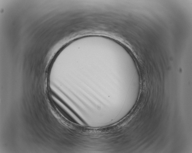 X0000085021511200703261207
