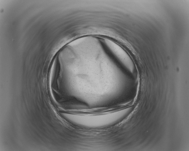X0000085021513200703261207