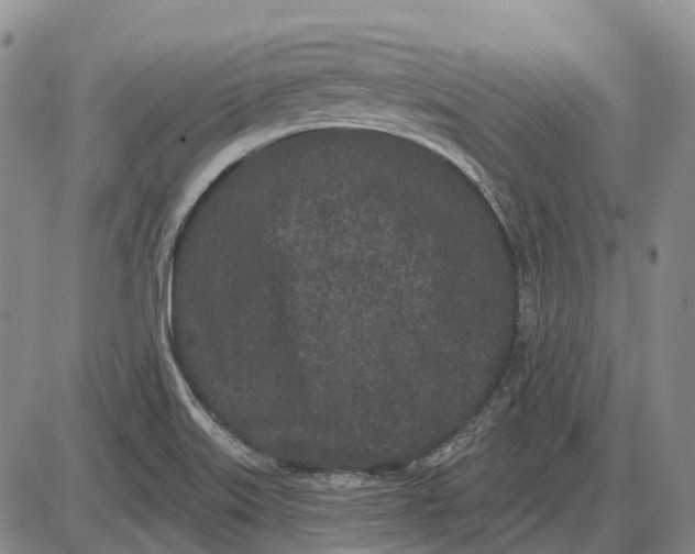 X0000085021515200703261207