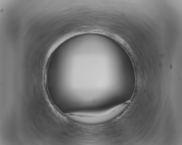 X0000085021520200703261207