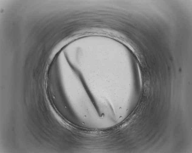 X0000085021523200703261207