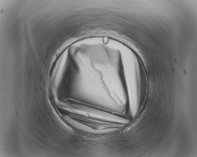 X0000085021525200703261207