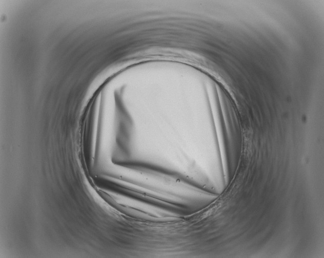 X0000085021531200703261208