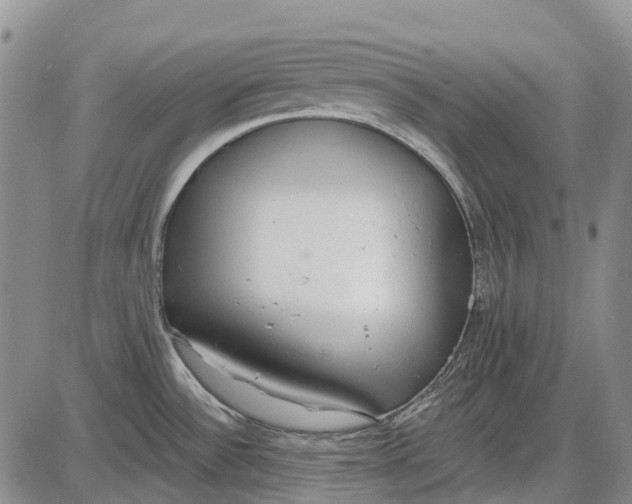 X0000085021532200703261208