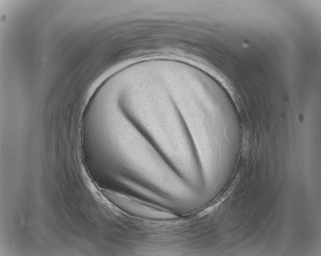 X0000085021534200703261208