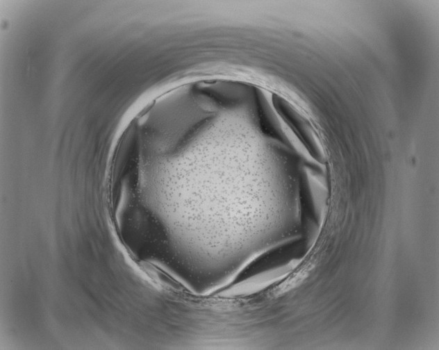 X0000085021536200703261208