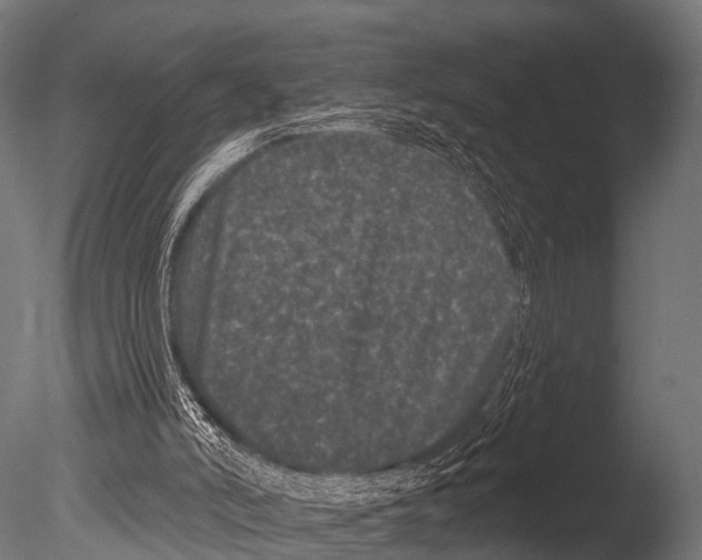 X0000085020006200704021439