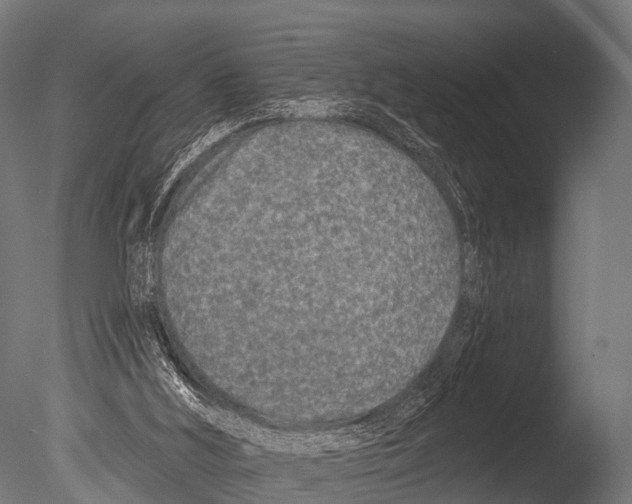 X0000085020012200704021439