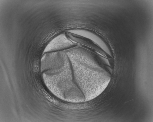 X0000085020017200704021439