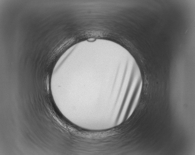 X0000085020021200704021439