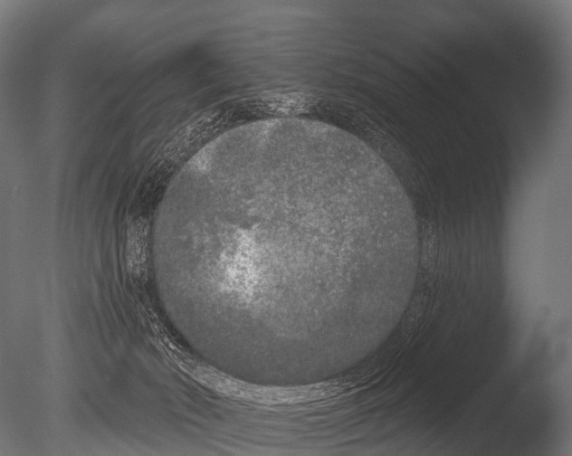 X0000085020030200704021439