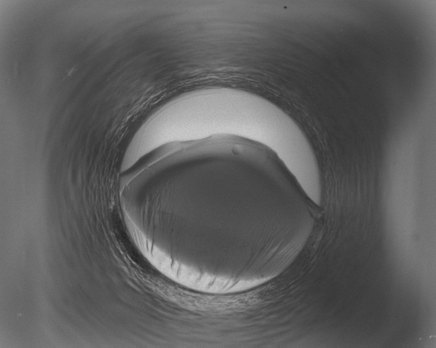 X0000085020031200704021439