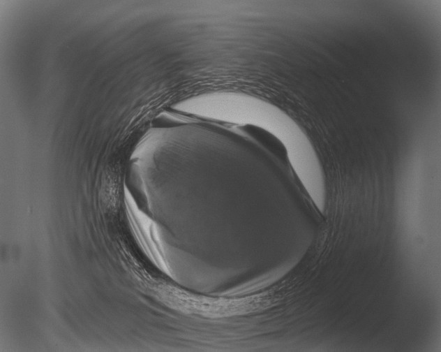 X0000085020039200704021439