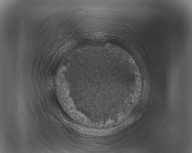 X0000085020048200704021439