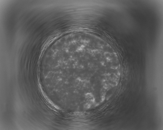 X0000085020049200704021438