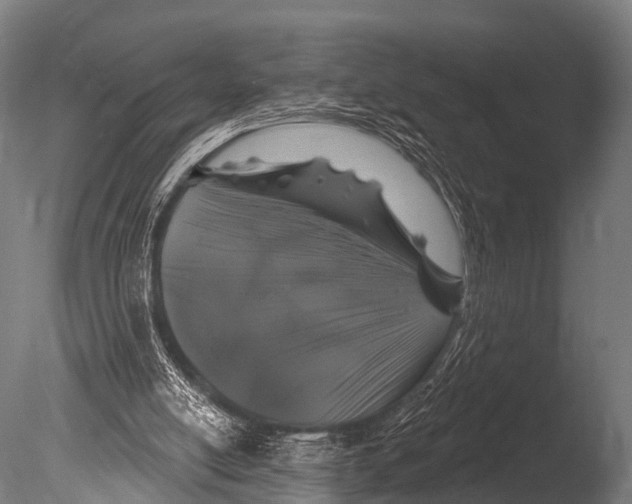 X0000085020054200704021438