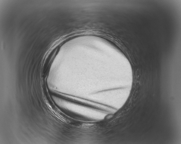 X0000085020055200704021438