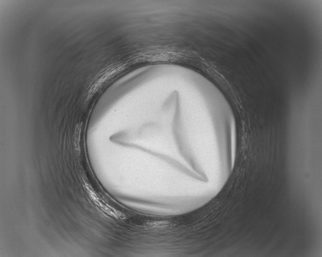 X0000085020058200704021438