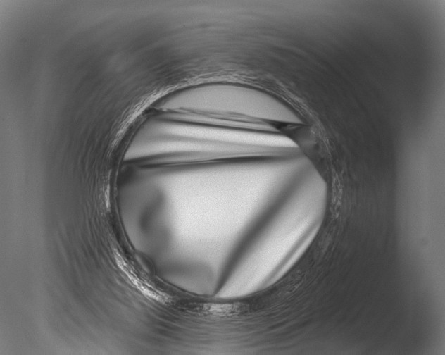 X0000085020060200704021438