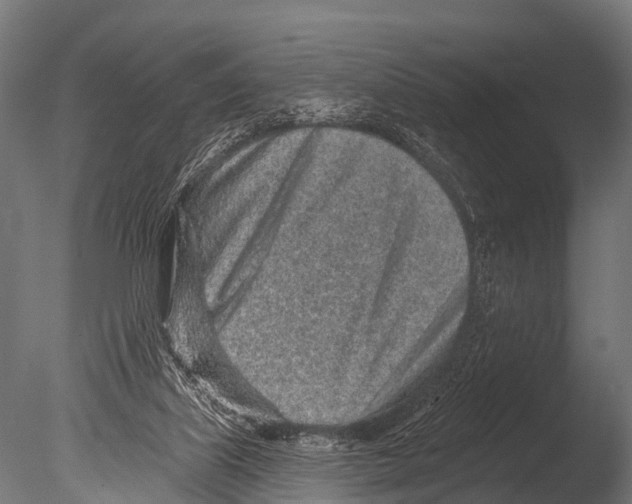 X0000085020067200704021438