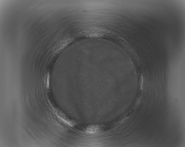 X0000085020076200704021438