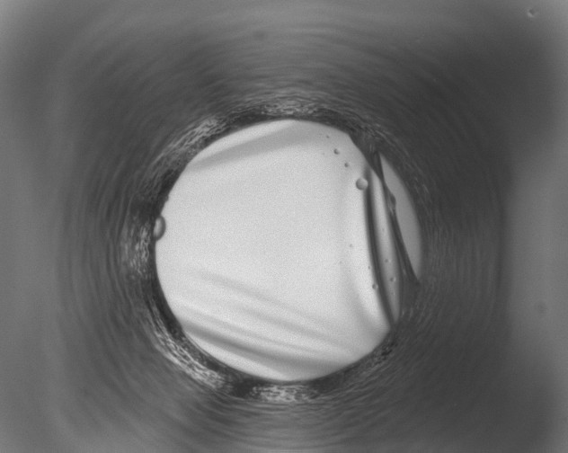 X0000085020077200704021438