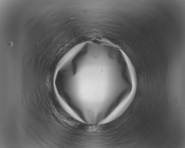 X0000085020088200704021439