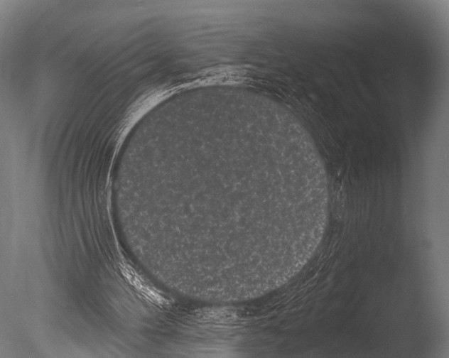 X0000085020100200704021438