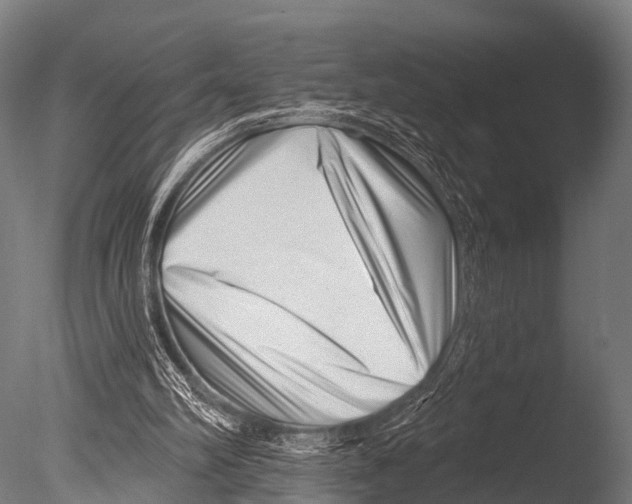 X0000085020102200704021438