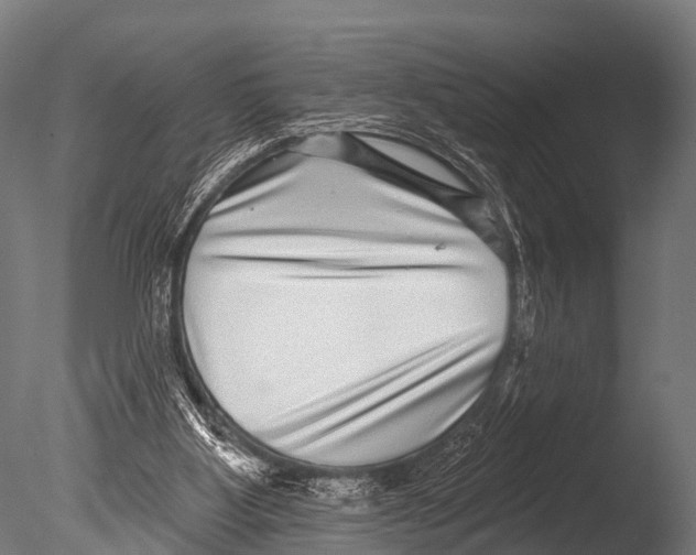 X0000085020107200704021438