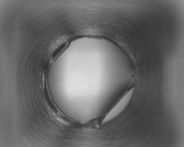 X0000085020109200704021438