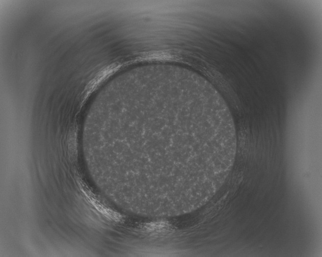X0000085020112200704021438