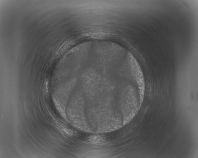 X0000085020117200704021438