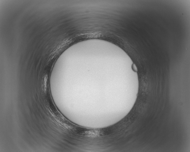 X0000085020118200704021438