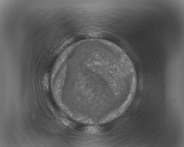 X0000085020121200704021437