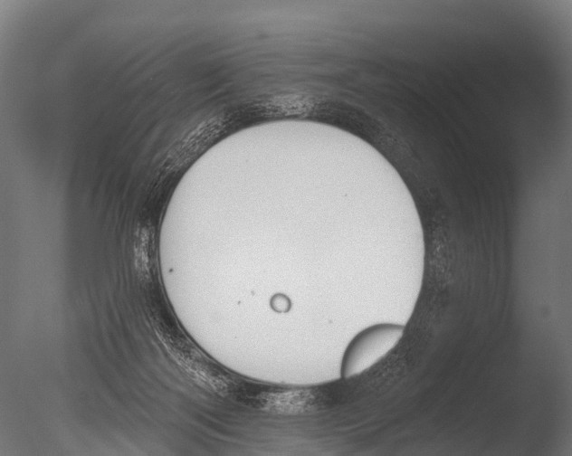 X0000085020122200704021437
