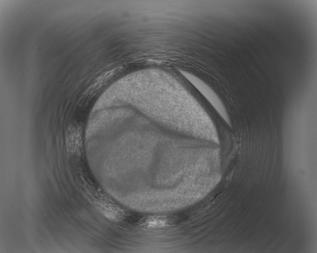X0000085020127200704021437