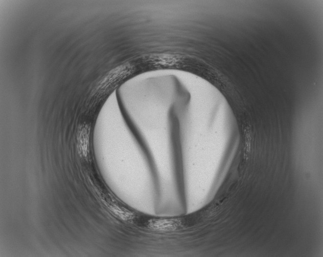 X0000085020129200704021437