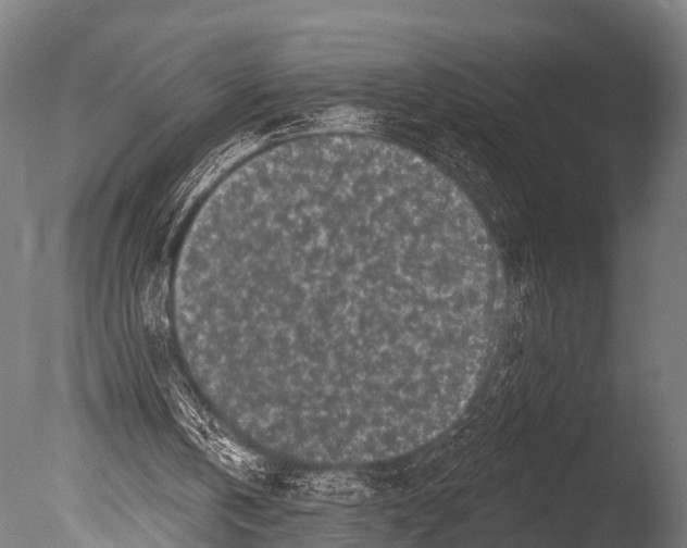 X0000085020146200704021436