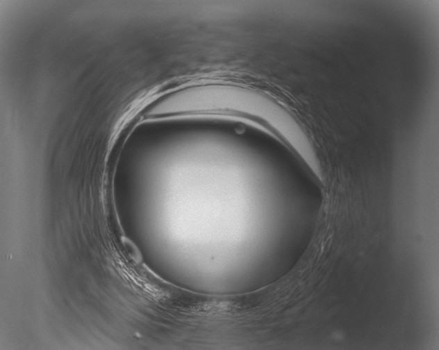 X0000085020152200704021436