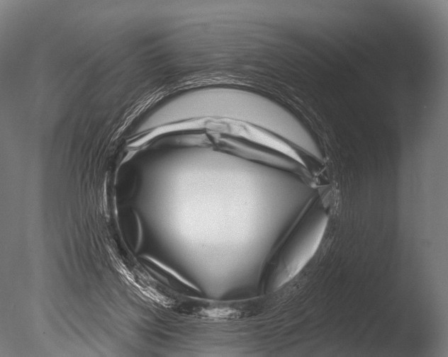 X0000085020158200704021436