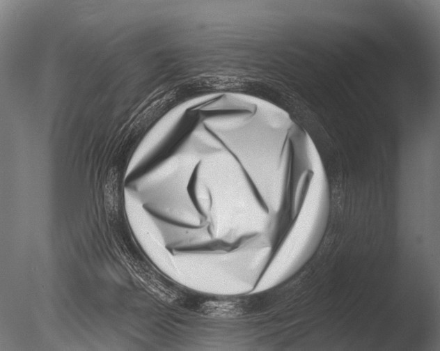 X0000085020170200704021437